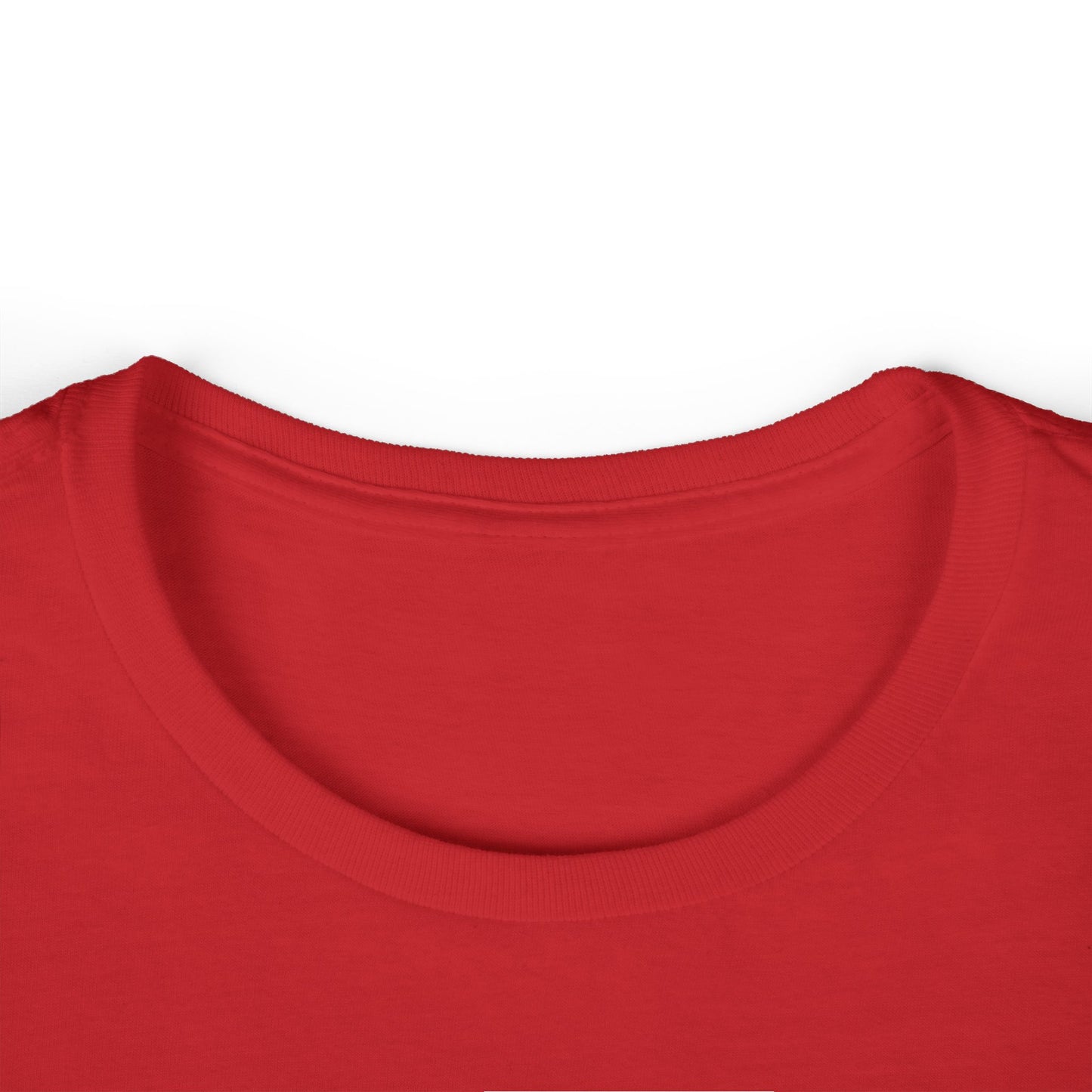 Women's | Teen's | Armadillo University Tee | Armadilloville | Custom Armadillo | College Shirt