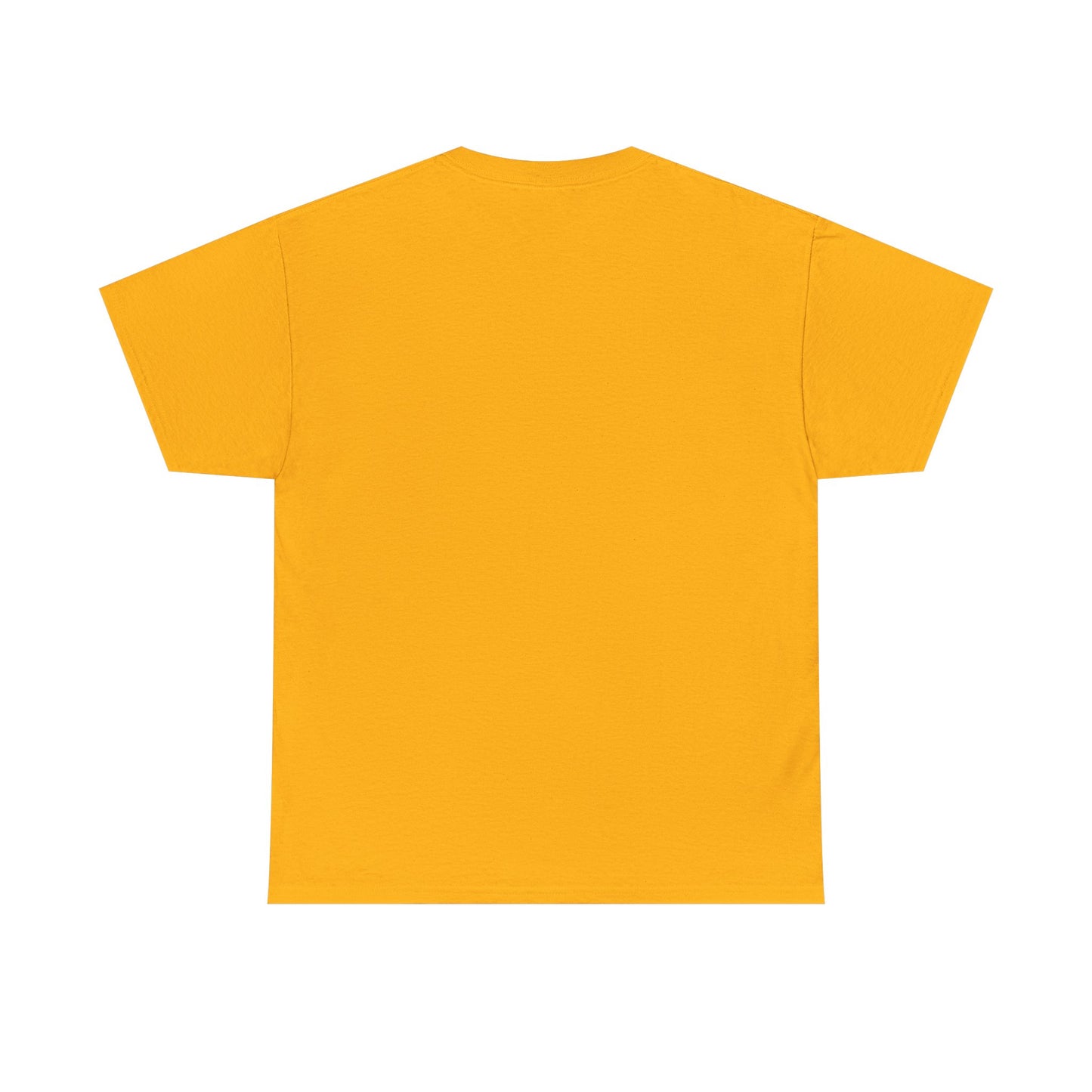 "Armadillo Halloween T-Shirt | Custom made | Quirky Whimsical | Spooky Fun Times"
