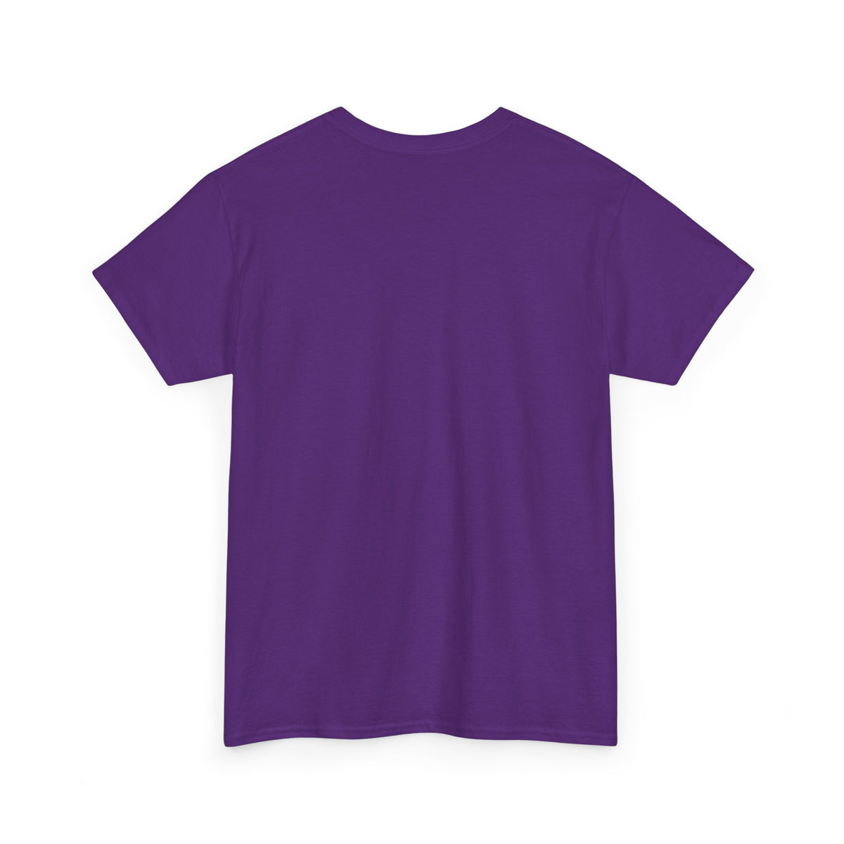 Arlo the Armadillo | Gamer Tee | Fantasy Mountain Scene | with Dragon and Castles
