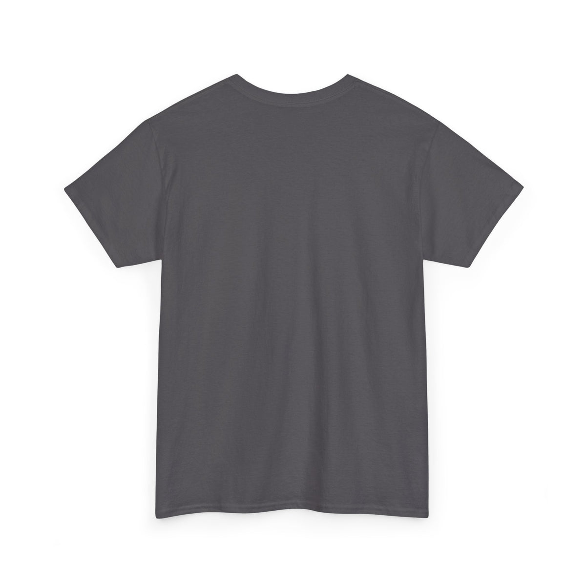 Arlo the Armadillo | Gamer Tee | Fantasy Mountain Scene | with Dragon and Castles