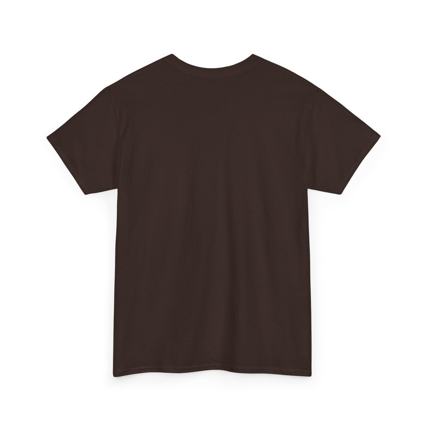 Fantasy Battle T-Shirt — Armadillo vs Dragon Illustration