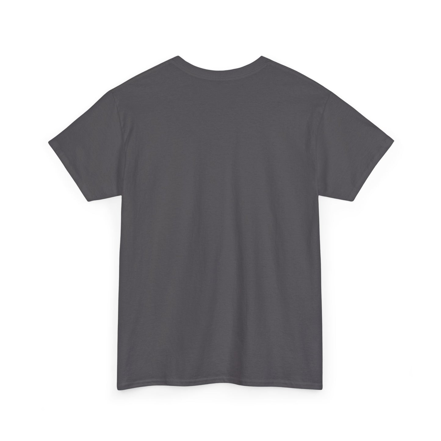 Fantasy Battle T-Shirt — Armadillo vs Dragon Illustration
