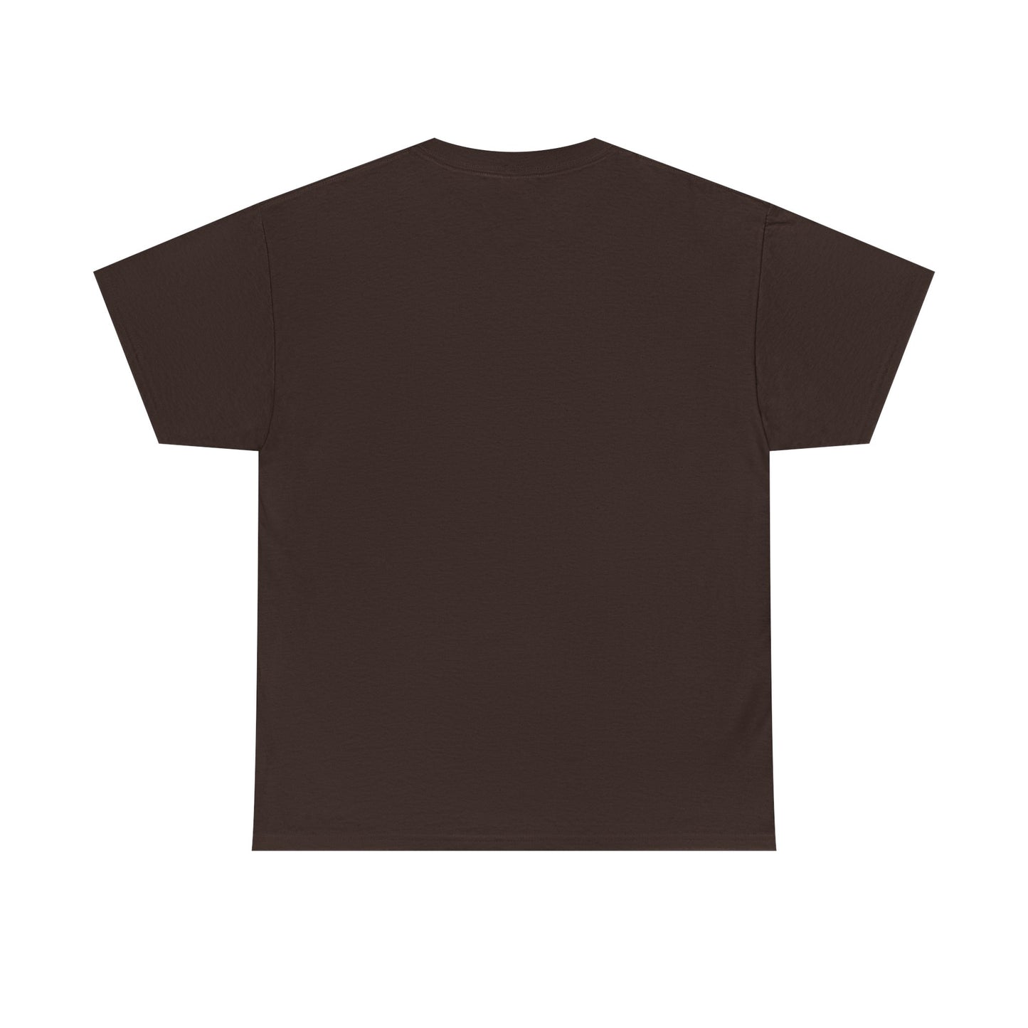 Halloween Armadillo Tee | Women's | Quirky Fall Season Shirt | Unisex Heavy Cotton Tee | Adult Sizes