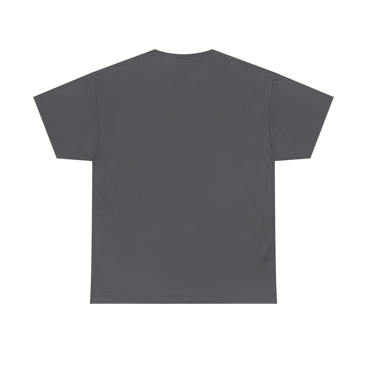 Arlo the Armadillo | Gamer Tee | Fantasy Mountain Scene | with Dragon and Castles