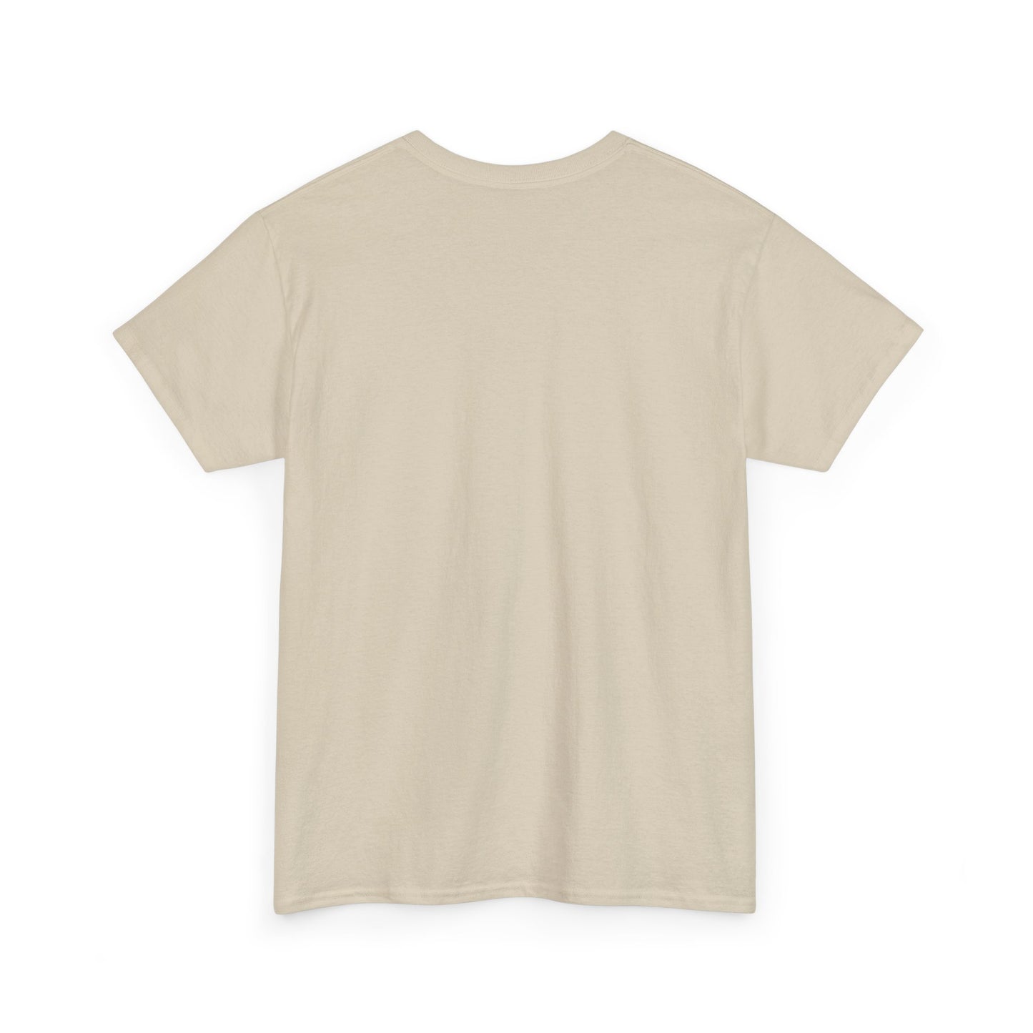 Fantasy Battle T-Shirt — Armadillo vs Dragon Illustration