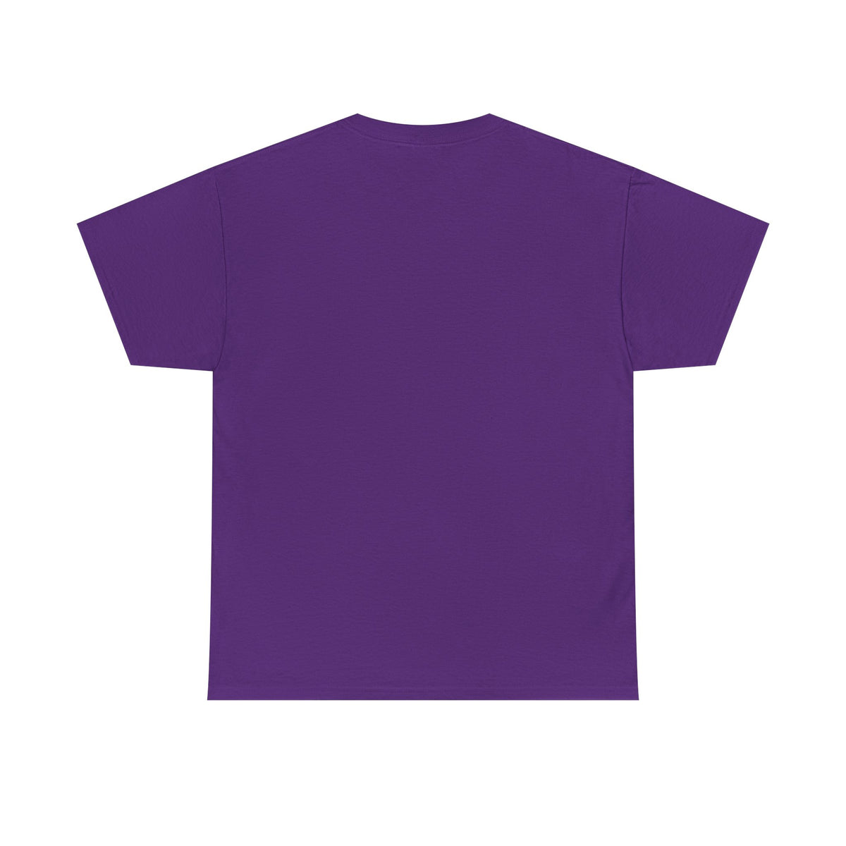 Arlo the Armadillo | Gamer Tee | Fantasy Mountain Scene | with Dragon and Castles