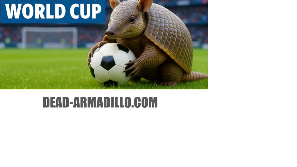 Armadillo World cup Soccer | Goalie | Dead-Armadillo.com